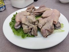 -丁老爷子苏香圆