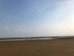 -刘家湾赶海园