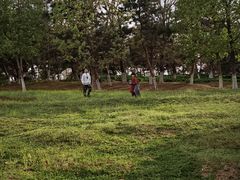 -莫子山公园