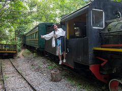 -五营红松林海景区