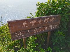 -美人鱼悬崖海景餐厅(鹿嘴山庄店)