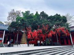 -国恩寺