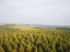 -塞罕坝国家级自然保护区