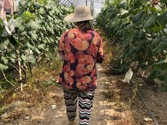 -马陆小张葡萄园农家乐