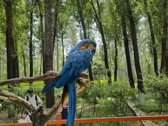 -北京野生动物园