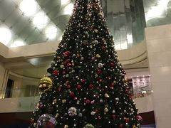 -海航大厦万豪酒店彩海轩中餐厅(霄云路店)