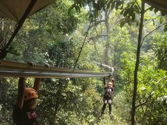 -清迈丛林飞跃 JungleFlight