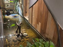 -邈墨茶馆(凤起路店)