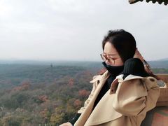 -灵谷景区