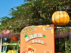 -黄龙溪欢乐田园