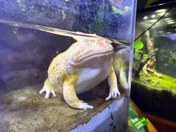 -酷嗒动物文化乐园(cutezoo西溪乐天城店)