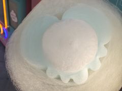 -合肥滨湖国家森林公园