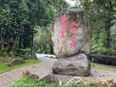 -莫里热带雨林景区