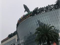 -成都浩海立方海洋公园