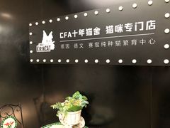 -十年猫舍·猫咪专门店(普陀店)