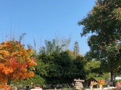 -HERRE·FARM 赫尔露营农场·团建聚会包场