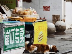 -三林塘老街