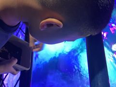 -沈阳海洋探索中心