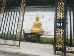 -大金鹰园