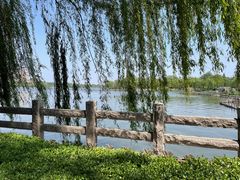 -济南大明湖景区