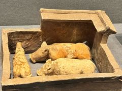 -广西壮族自治区博物馆