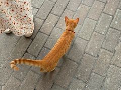 -东华大学第一食堂(松江校区店)