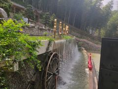 -宁波浙东大竹海景区