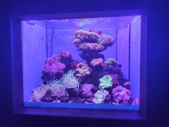 -多彩贵州城极地海洋世界