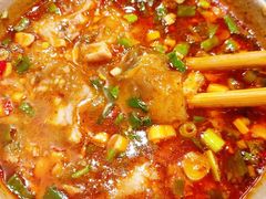 -肖肖酸萝卜鱼火锅(总店)