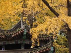 -成都市文殊院
