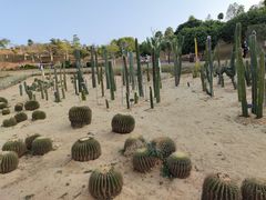 -东莞植物园