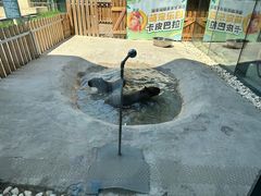 -廊坊固安福朋喜来登酒店
