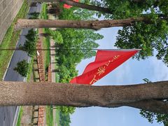 -洪湖生态旅游区