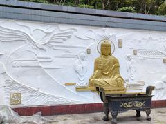 -大金鹰园