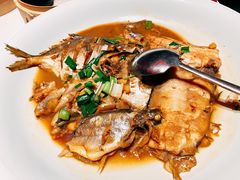 -鸽子侯·家宴·平价海鲜(市图书馆店)