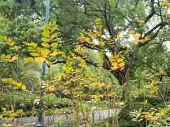 -古韵餐厅(湖畔大学店)
