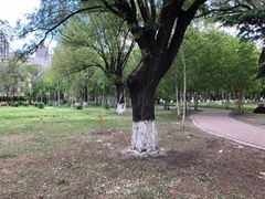 -黑龙江中医药大学