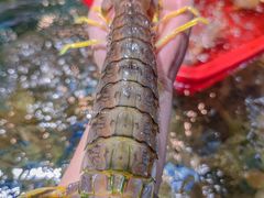 -阳江餐厅·30年老字号·粤菜海鲜大排档