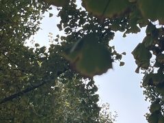 -汉景帝阳陵博物院