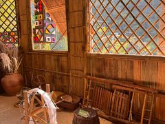 -西双版纳原始森林公园