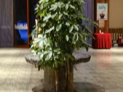 大堂-金筷子西北菜·捞悦火锅