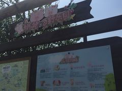 -田园东方蜜桃村的田野营地