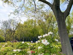 -合肥三国新城遗址公园