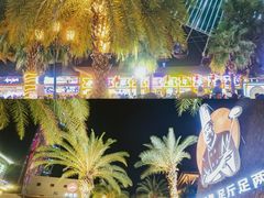 -三亚海昌梦幻海洋不夜城