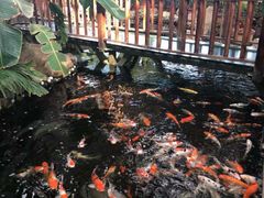 -北黄海温泉度假村