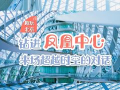 -凤凰中心