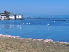 -大理洱海
