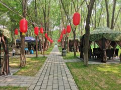 -草根堂农场