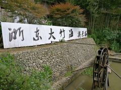-宁波浙东大竹海景区