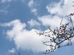 -秀丽东方